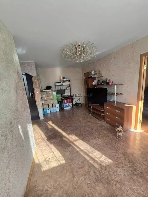2-к кв. Забайкальский край, Чита Баргузинская ул., 5 (46.0 м) - Фото 1