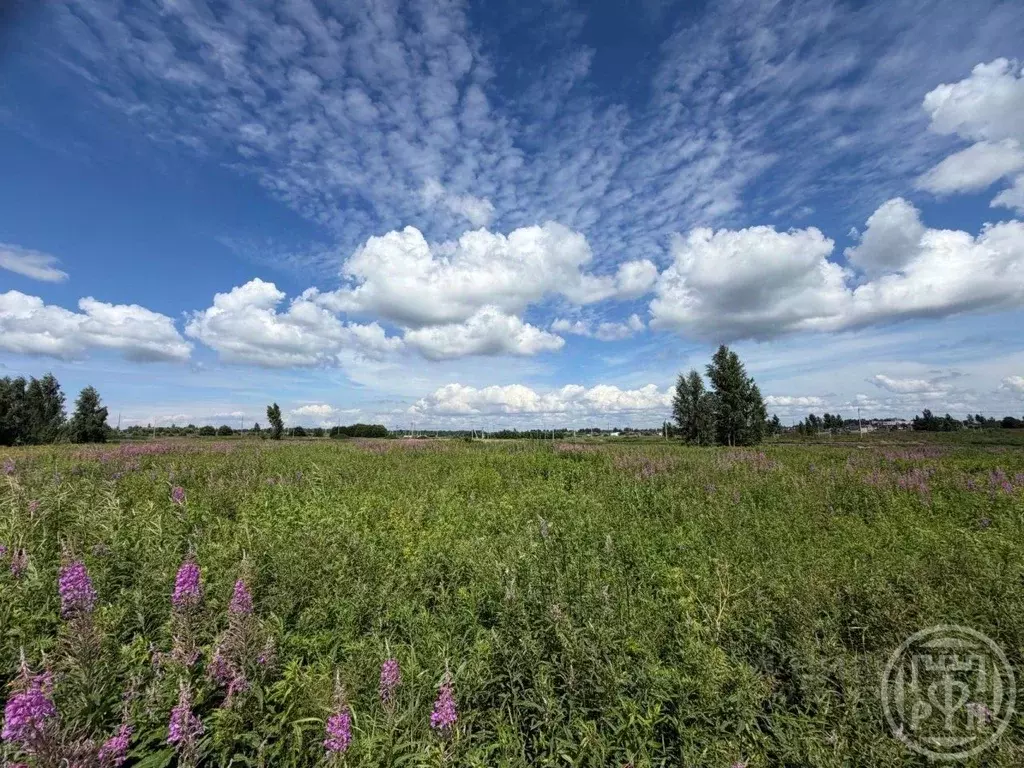 Участок в Ленинградская область, Ломоносовский район, д. Низино  (10.0 ... - Фото 1