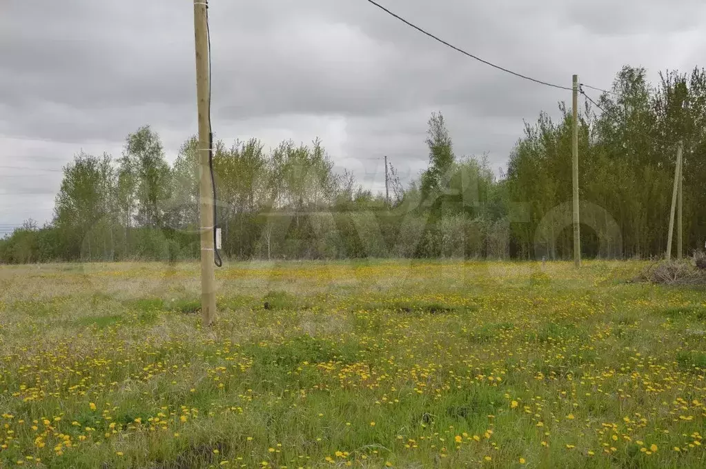 Участок 6,4 сот. (ИЖС) - Фото 0