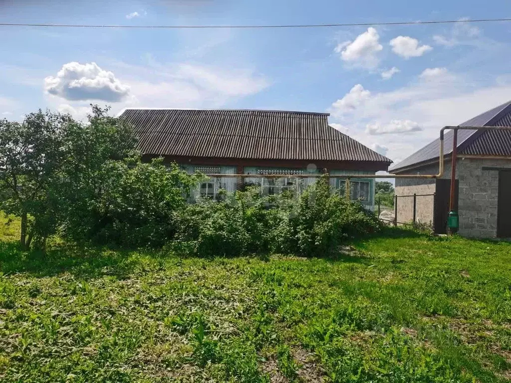 Дом в Мордовия, Большеберезниковский район, с. Елизаветинка ул. ... - Фото 1