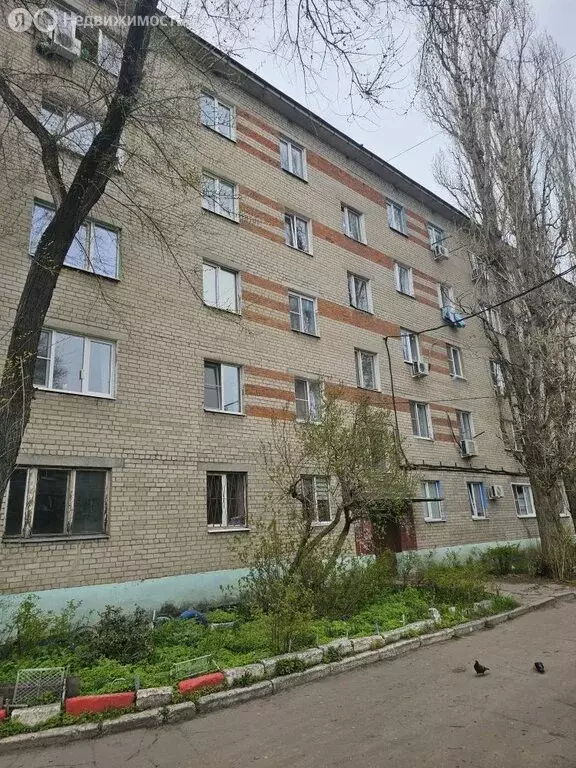 2-комнатная квартира: Воронеж, улица Старых Большевиков, 20/1 (25.3 м) - Фото 0
