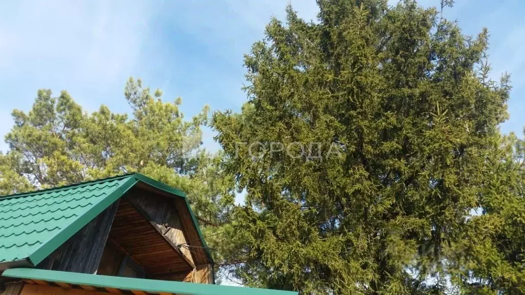 Дом в Новосибирская область, Колыванский район, Электрон СНТ ул. ... - Фото 0