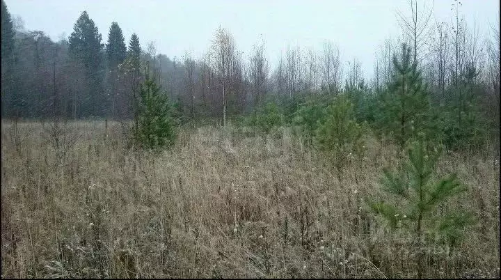 Участок в Кировская область, Киров городской округ, д. Чарушины  (10.5 ... - Фото 0