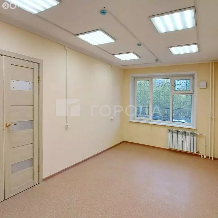 Офис (38.5 м) - Фото 2