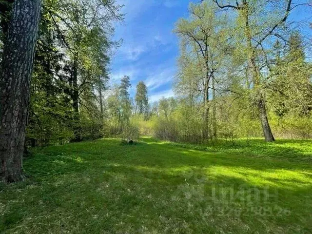 Участок в Московская область, Звенигород Одинцовский городской округ, ... - Фото 1