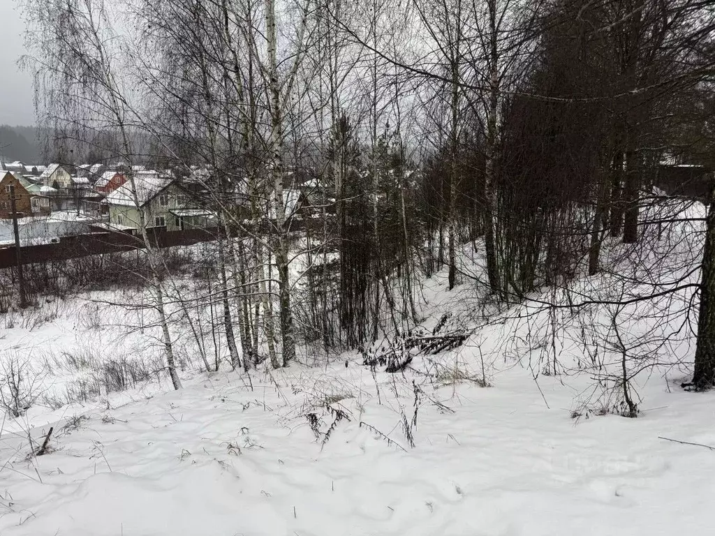 Участок в Московская область, Пушкинский городской округ, д. Лепешки  ... - Фото 1