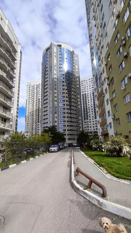 3-к кв. Саратовская область, Саратов ул. Имени Н.Г. Чернышевского, ... - Фото 1