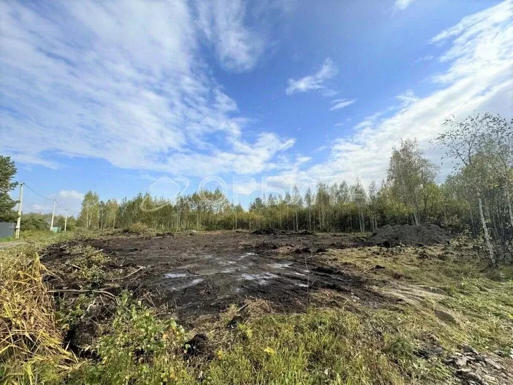 Участок в Тюменская область, Тюменский район, Маяк СНТ  (6.15 сот.) - Фото 1