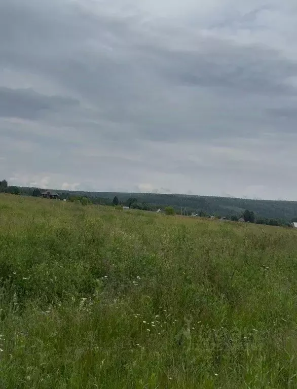 Участок в Свердловская область, Староуткинск муниципальный округ, д. ... - Фото 2
