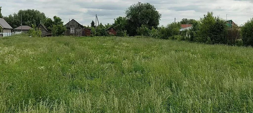 Участок в Татарстан, Лаишевский район, Нармонское с/пос, д. Татарский ... - Фото 2