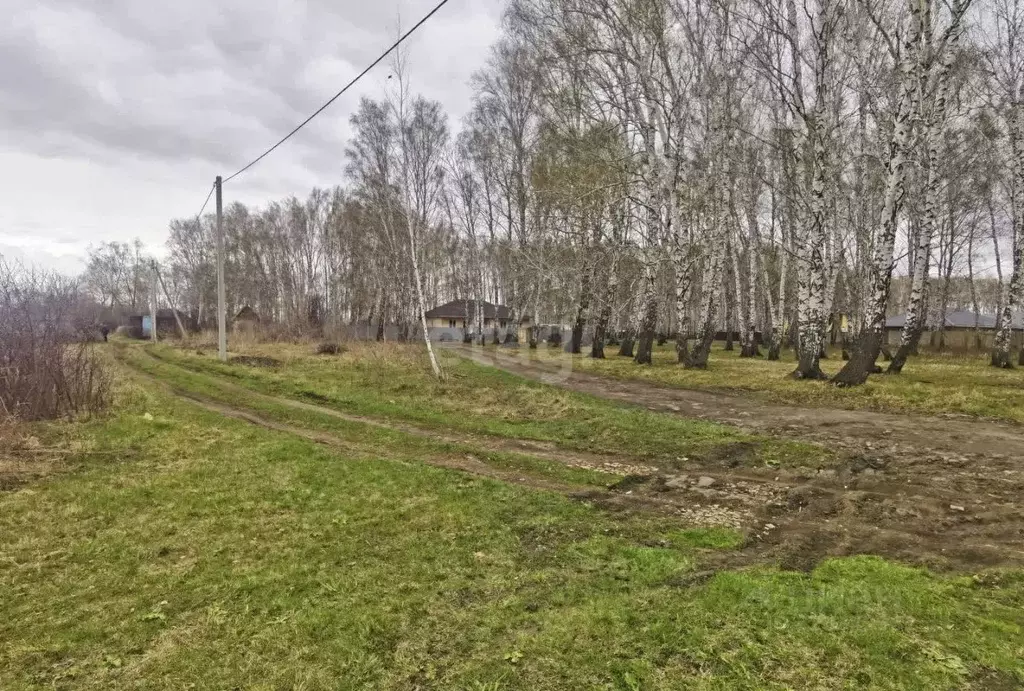 Участок в Омская область, Омский район, Морозовское с/пос, Красная ... - Фото 1