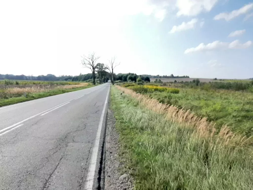 Участок в Калининградская область, Зеленоградский муниципальный округ, ... - Фото 1