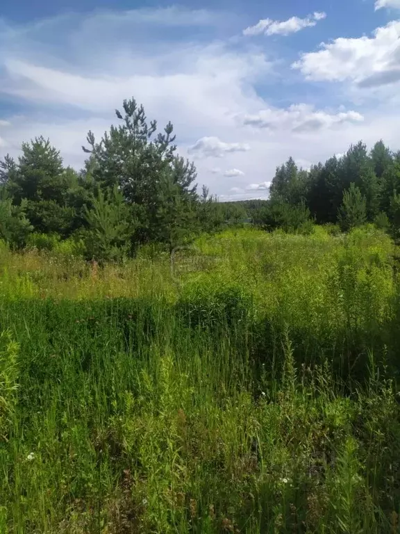 Участок в Владимирская область, Суздальский район, Боголюбовское ... - Фото 2