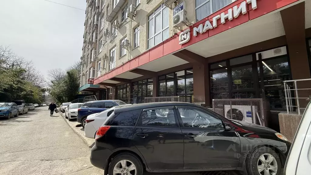 Помещение свободного назначения в Краснодарский край, Сочи ул. Камо, ... - Фото 1
