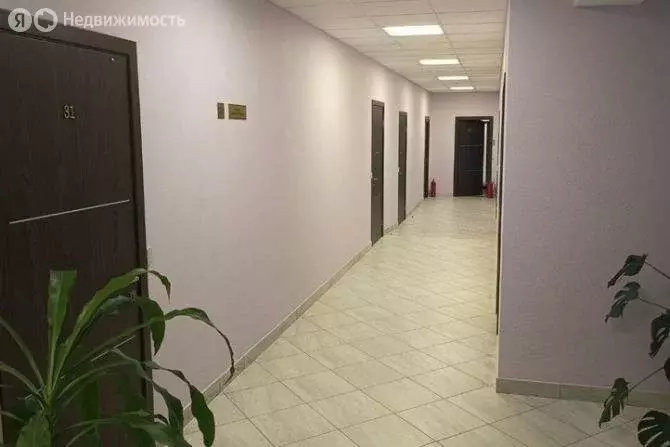 Помещение свободного назначения (151 м) - Фото 0