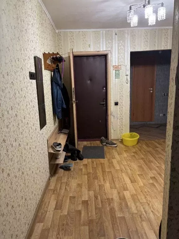 Комната Ленинградская область, Всеволожск ул. Плоткина, 3к1 (16.0 м) - Фото 2