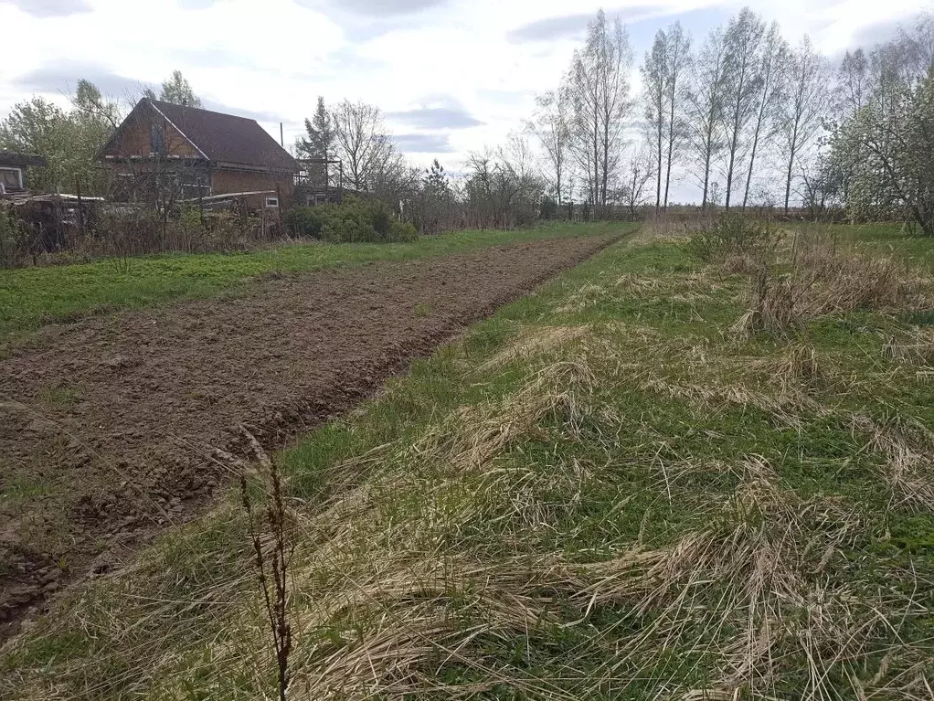 Участок в Тверская область, Конаковский муниципальный округ, д. Межево ... - Фото 1