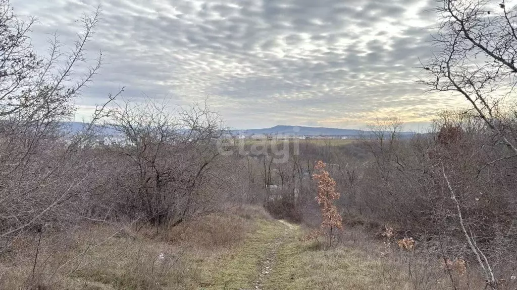 Участок в Краснодарский край, Новороссийск городской округ, Раевская ... - Фото 1