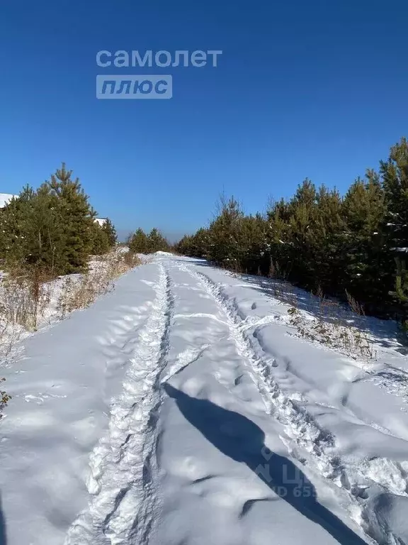 Участок в Иркутская область, Иркутский район, Ушаковское муниципальное ... - Фото 1