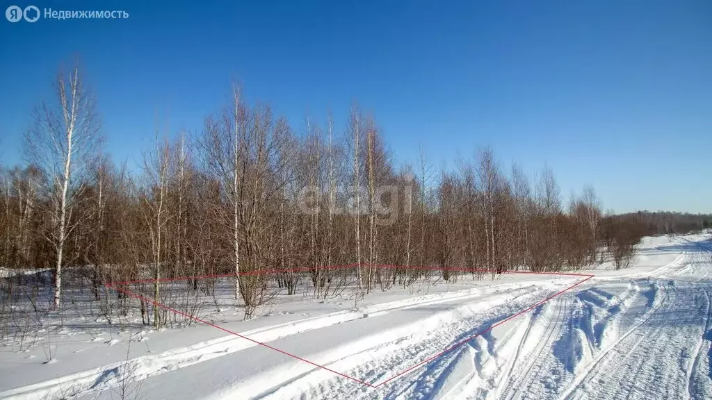 Участок в село Корнилово, улица Жирова (8.1 м) - Фото 1