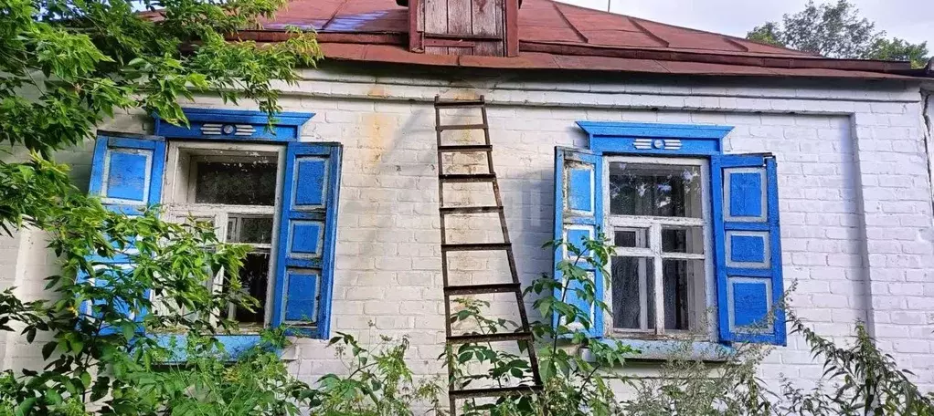 Дом в Белгородская область, Вейделевский район, Большелипяговское ... - Фото 1