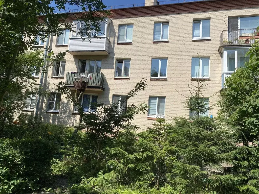 2-к кв. Санкт-Петербург, Санкт-Петербург, Пушкин Средняя ул., 40 (41.8 ... - Фото 0
