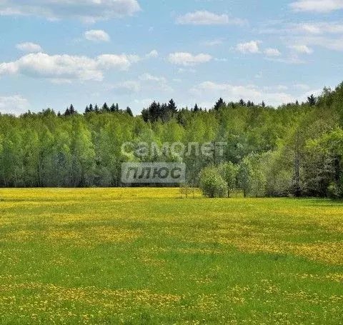 Участок 3,82 га (СНТ, ДНП) - Фото 0