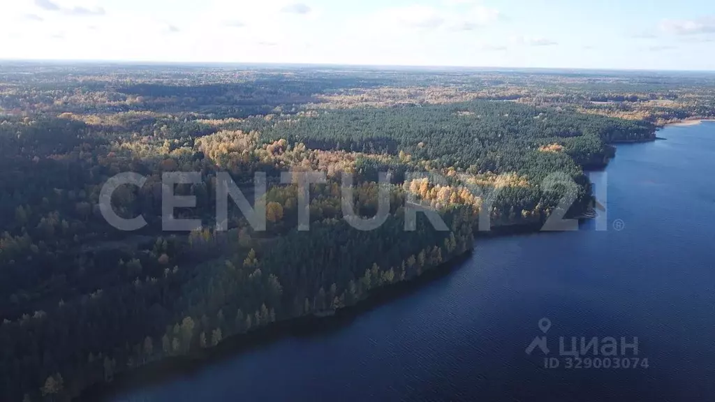 Участок в Ленинградская область, Приозерский район, Громовское с/пос, ... - Фото 1