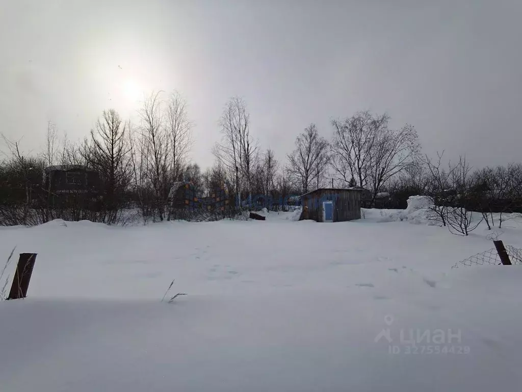 Участок в Нижегородская область, Нижний Новгород № 3 СНТ, 684А (4.87 ... - Фото 2
