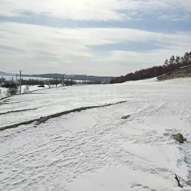 Участок в Амурская область, Благовещенский район, с. Кантон-Коммуна  ... - Фото 0