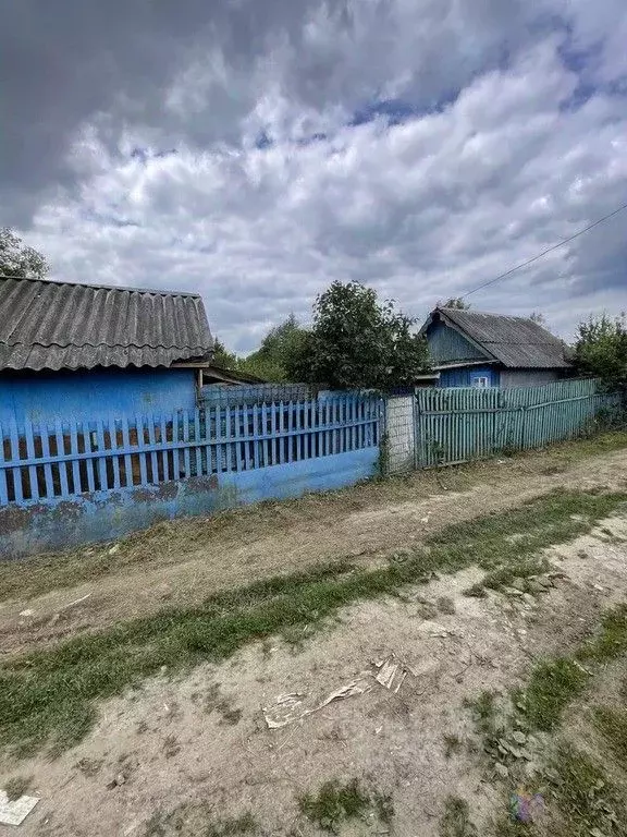 Коттедж в Московская область, Ступино городской округ, с. Березнецово ... - Фото 0