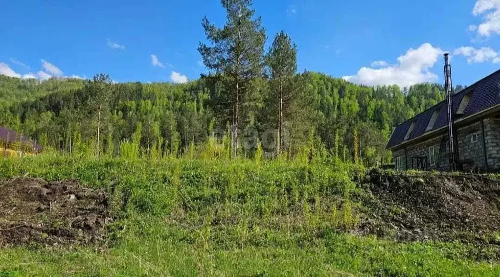 Участок в Алтай, Майминский район, пос. Черемшанка Дворовый пер. (10.5 ... - Фото 0