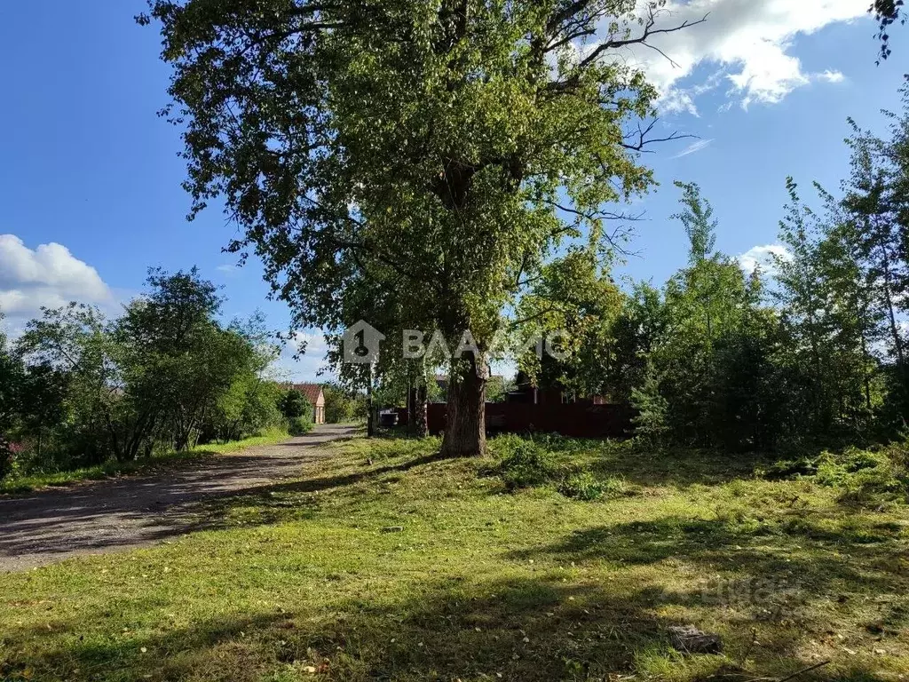 Участок в Владимирская область, Судогодский район, № 6 Ладога СНТ  ... - Фото 1