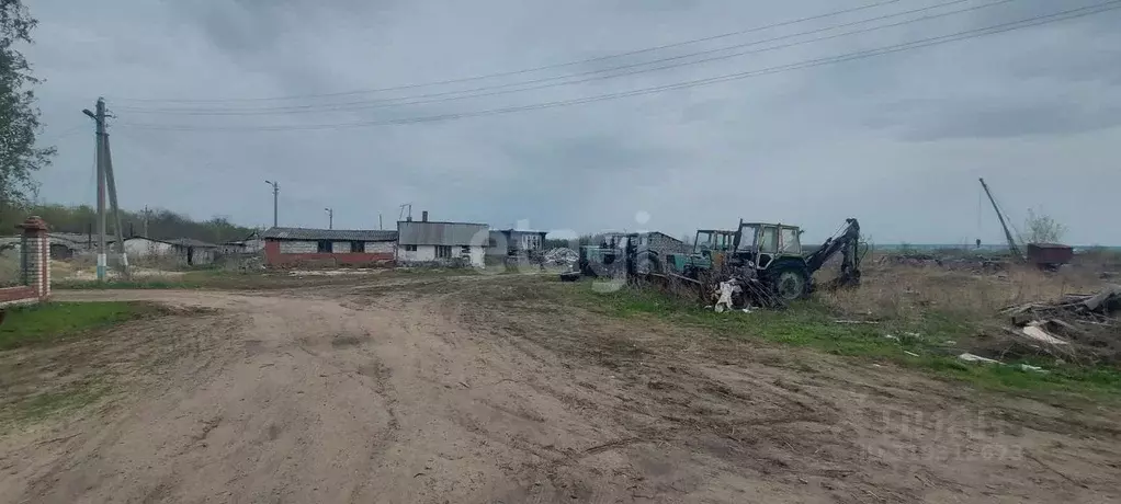 Участок в Воронежская область, Борисоглебск Фермерская ул. (123.9 ... - Фото 0