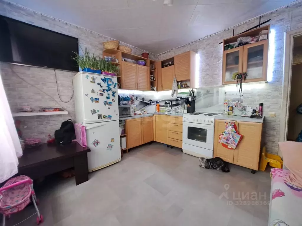 1-к кв. Вологодская область, Шексна рп, Шексна Северная мкр ул. ... - Фото 1