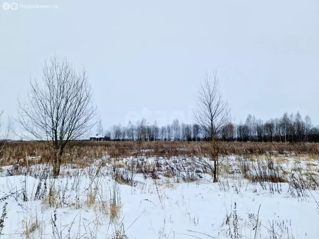 Участок в Тульская область, городской округ Тула, село Фёдоровка (9.9 ... - Фото 0