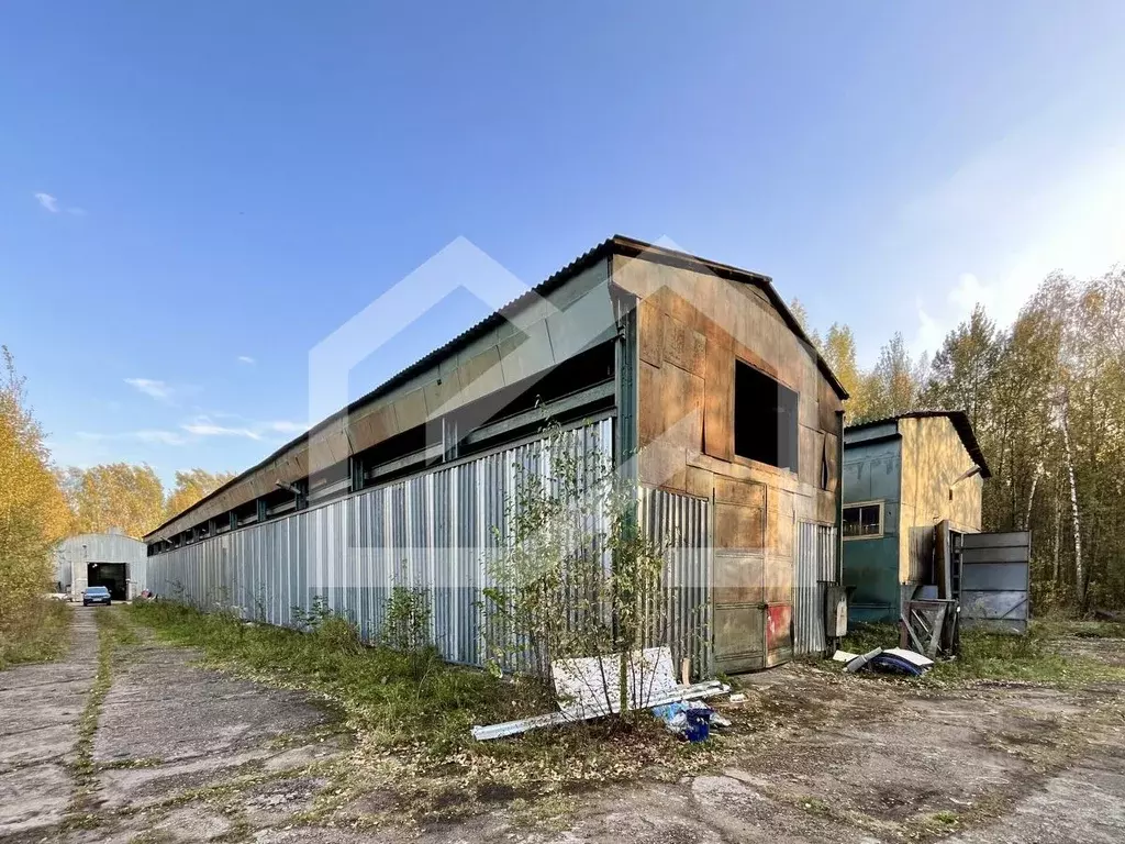 Помещение свободного назначения в Московская область, Щелково Байкал ... - Фото 1