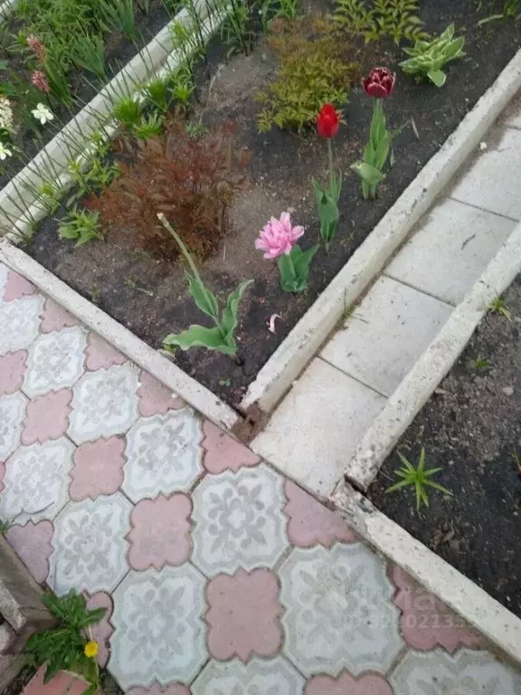 Дом в Красноярский край, Красноярск городской округ, д. Минино  (57 м) - Фото 1