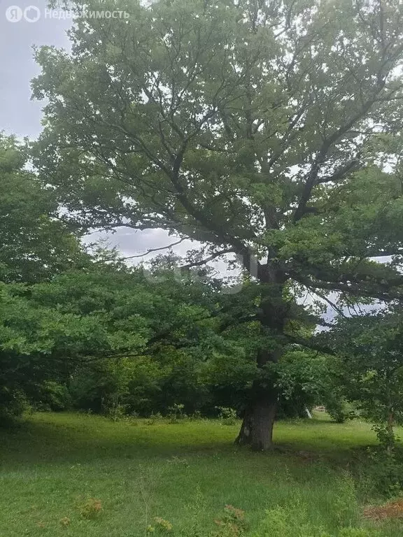 Участок в Хамышки, Комсомольская улица (13.88 м) - Фото 2