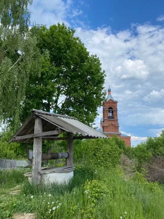Дом в Владимирская область, Муром с. Благовещенское, ул. Филатова, 11 ... - Фото 2