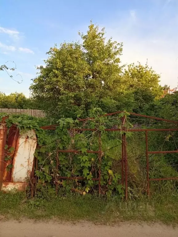 Участок в Волгоградская область, Светлоярский район, Кировское с/пос, ... - Фото 2