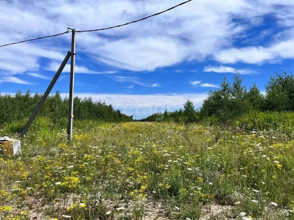 участок в нижегородская область, кстовский муниципальный округ, с. . - Фото 0