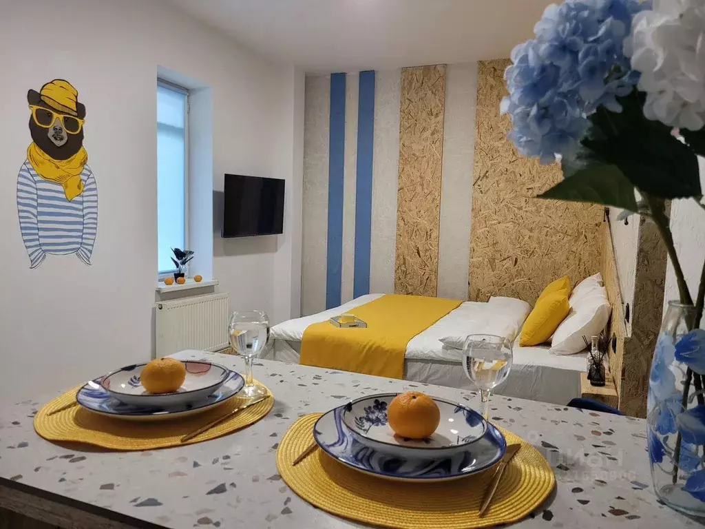 Студия Адыгея, Майкоп Краснооктябрьская ул., 38 (25.0 м) - Фото 2