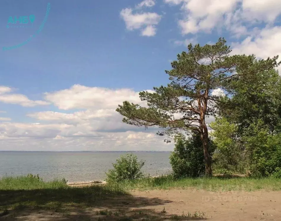 Участок в Новосибирская область, Новосибирский район, с. Боровое  ... - Фото 1