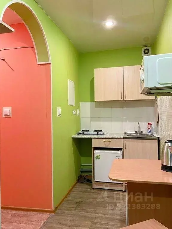 Студия Новосибирская область, Новосибирск ул. Блюхера, 55 (20.0 м) - Фото 2