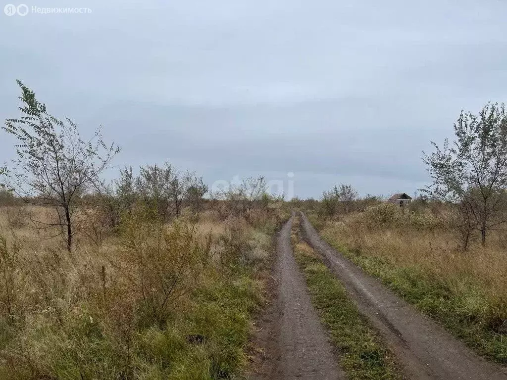 Участок в село Зелёное, Сибирская улица (15 м) - Фото 0