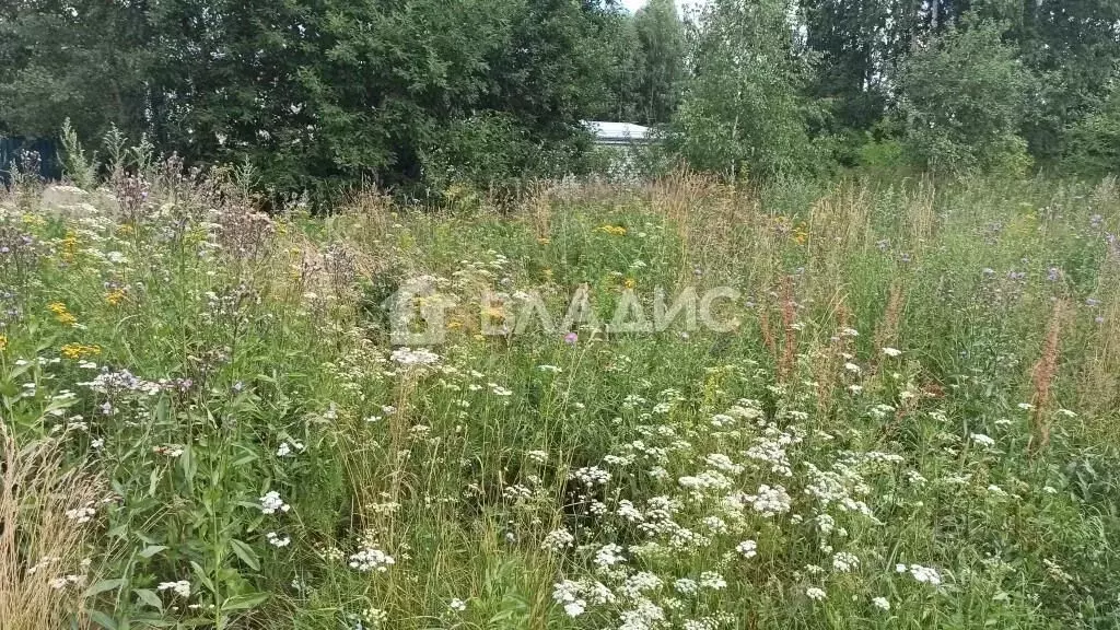 Участок в Владимирская область, Суздальский район, Селецкое ... - Фото 1