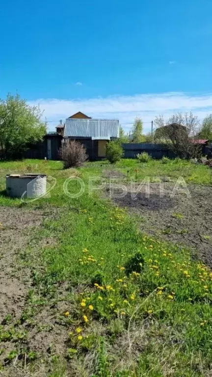 Участок в Тюменская область, Тюмень Яровское СНТ, ул. Сливовая, 19 ... - Фото 1
