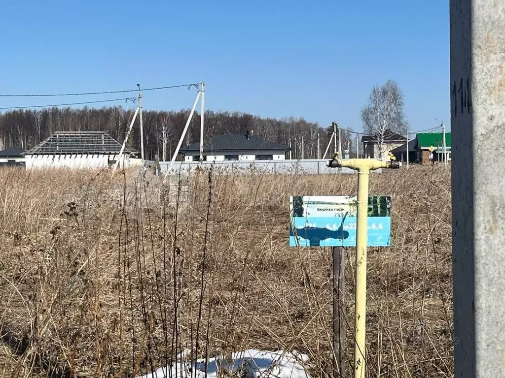 Участок в Тюменская область, Тюмень СОСН Березовое Озеро тер., ул. ... - Фото 1