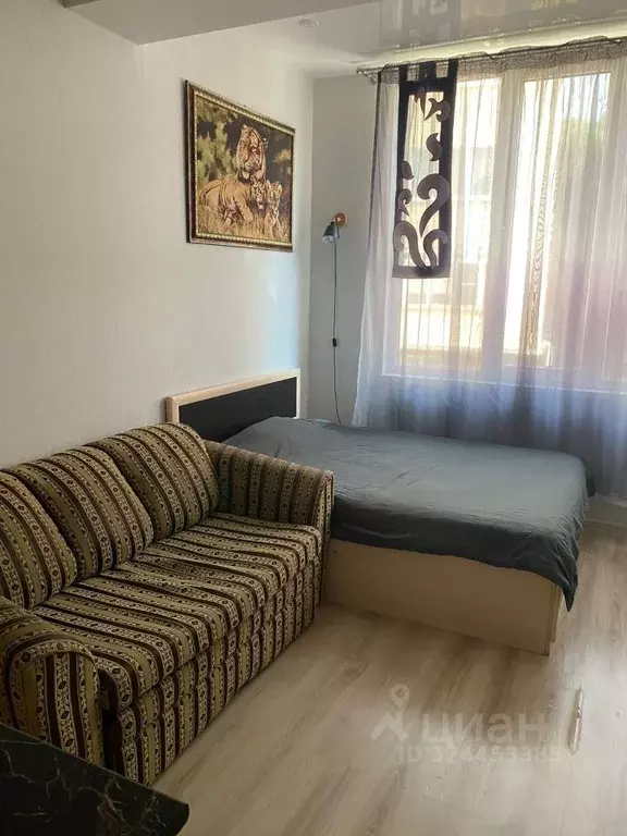 Студия Краснодарский край, Сочи Амбровая ул., 23 (20.0 м) - Фото 2